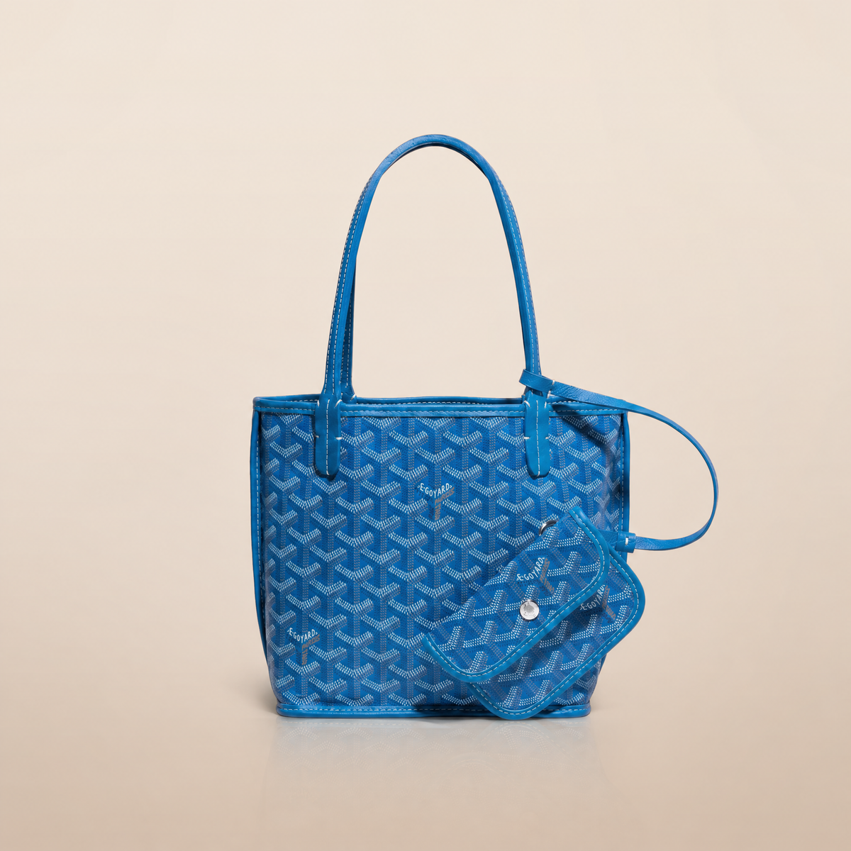 Veyra Reversible Mini Tote