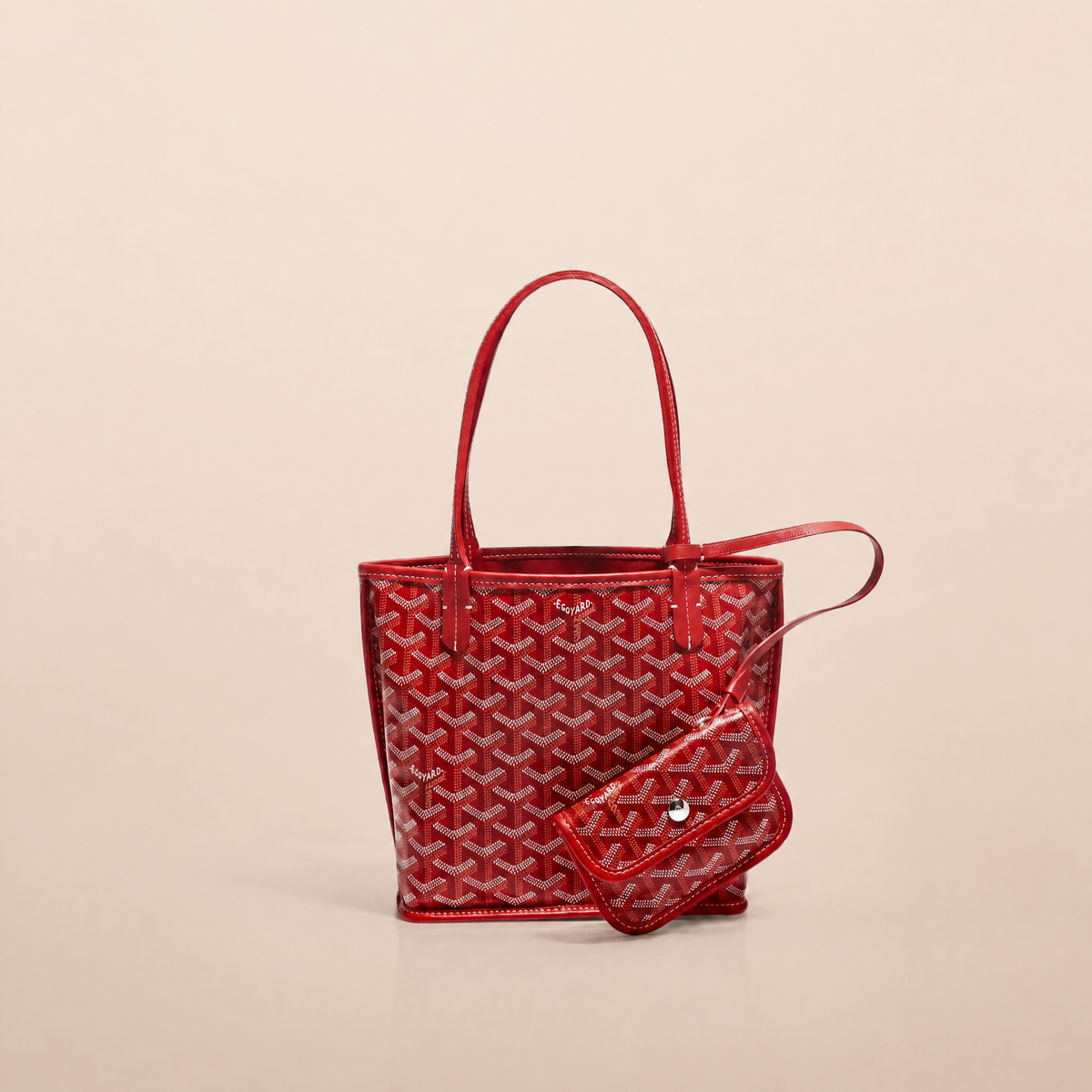 Veyra Reversible Mini Tote