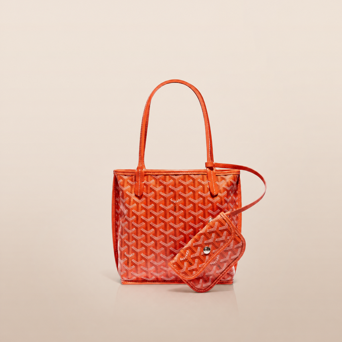 Veyra Reversible Mini Tote