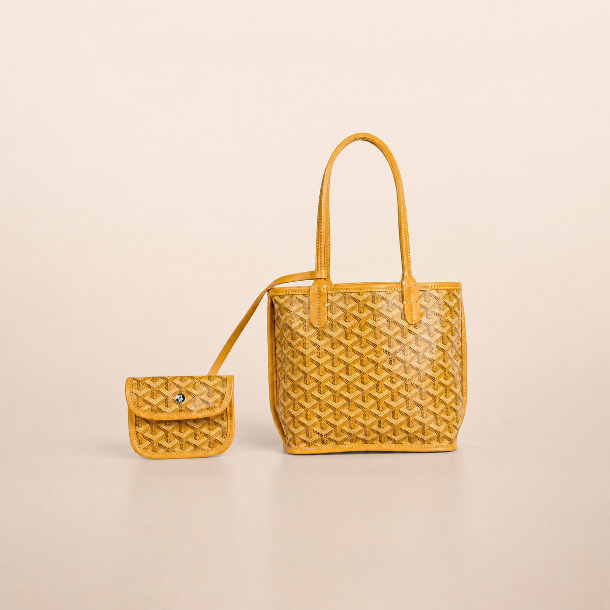 Veyra Reversible Mini Tote